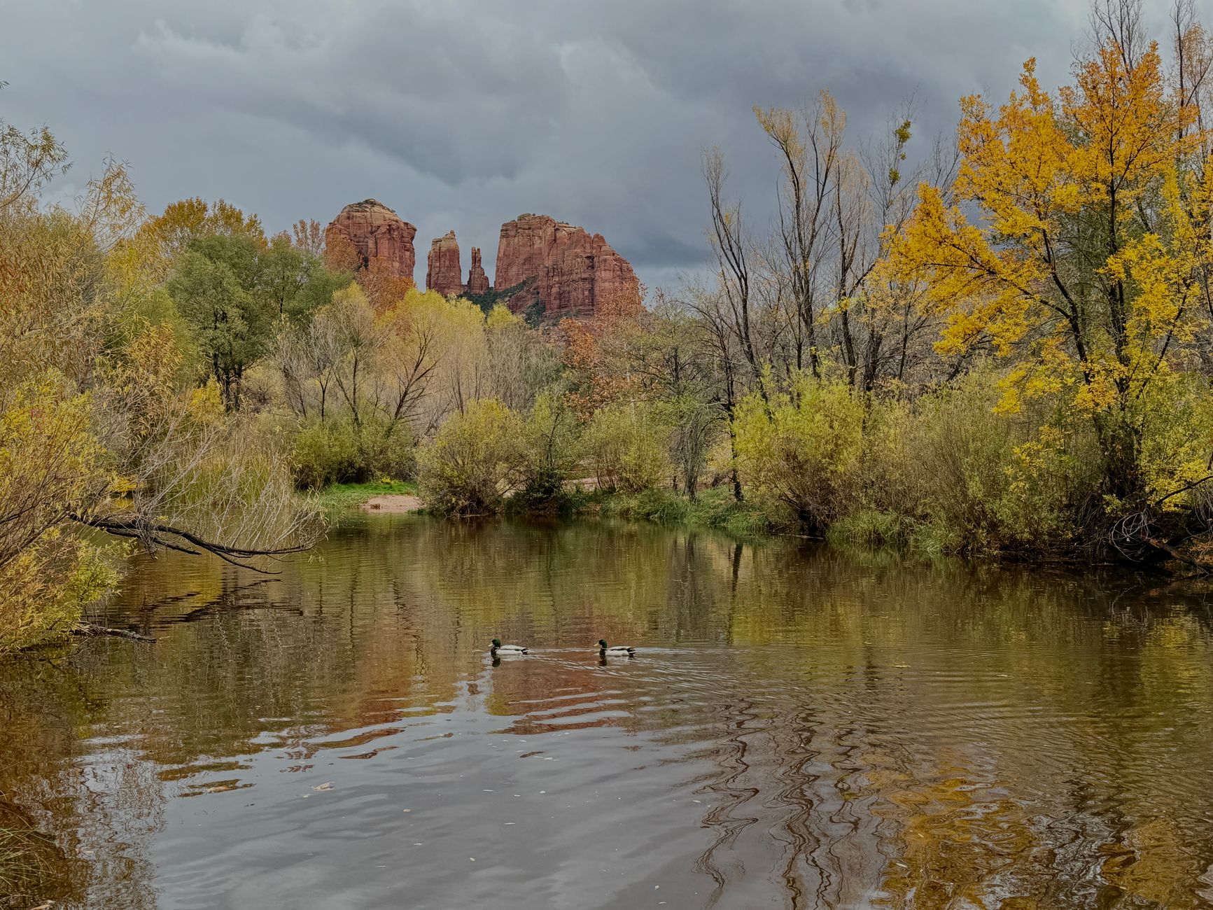 Oak Creek water near Sedona, Arizona